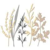 Sizzix Thinlits Die Set 5PK - Woodland Stems by Olivia Rose