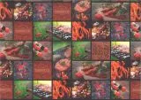 Motiv-Fotokarton 300g/qm 49,5x68cm Barbecue
