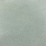 Strukturierter Karton iguana