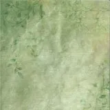 Mintay Scrapbooking Papier Wildwood Secrets Motiv 9