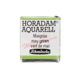 HORADAM Aquarell 1/2 N�pfchen - Maigr�n