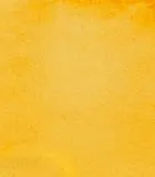 HORADAM Aquarell 1/2 N�pfchen - Lasur Ocker