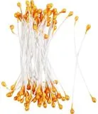 Bl�tenstaubbl�tter orange