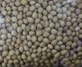 Kirschkerne 500g