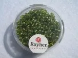 Rocailles 2,6mm � mit Silbereinzug hellgr�n