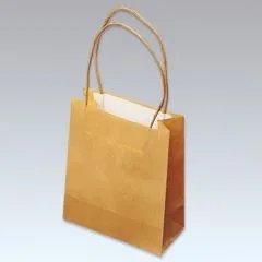 Papier-Tasche mit Henkeln aus Papierkordel
