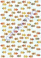 Fotokarton Fische Motiv 03
