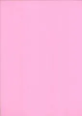 Heyda Universalkarton 220g/qm DIN A4 rosa