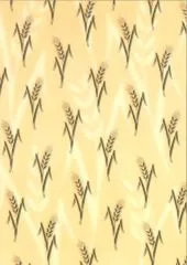 Fotokarton A4 - �hren (Restbestand)