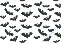 Motiv-Fotokarton 300g/qm 49,5x68cm Halloween - Fledermaus