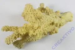 Koralle 15x8cm Polyresin - Redstbestand