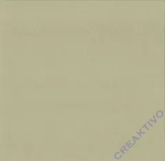 Struktura Pearl 220g/qm latte macchiato