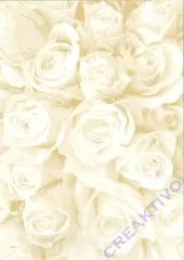 Bastelkarton Starlight Hochzeit - Rosen creme/gold