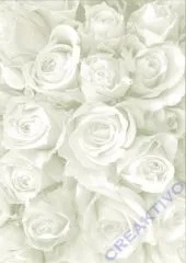 Bastelkarton Starlight Hochzeit - Rosen wei/silber (Restbestand)