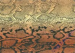 Motiv-Fotokarton 300g/qm 49,5x68cm Schlange