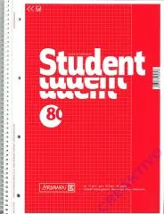 lCollegeblock A4 mit Rand - kariert