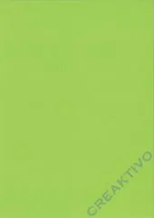 Heyda Tonpapier Din A4 130g/m� maigr�n 100 Blatt