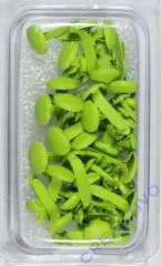 Rayher Brads rund 4+8 mm 75 St�ck hellgr�n