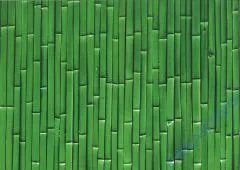 Motiv-Fotokarton 300g/qm 49,5x68cm Bambus