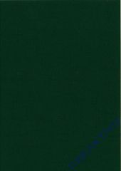 Bastelfilz Bogen 20x30 1mm tannengrün
