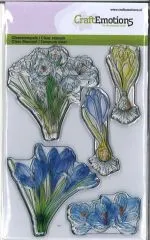Clear Stamps Krokus