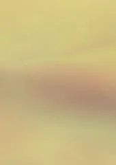 Holografiekarton 49,5x70cm gold