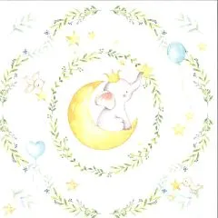 Craft&You Baby Adventure Scrapbooking Papier Motiv 04