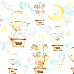 Craft&You Baby Adventure Scrapbooking Papier Motiv 06