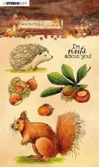 Studio Light Stamp A6 Wonderful Autumn Nr. 479