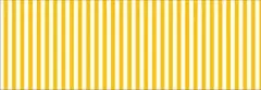 Streifen-Fotokarton 49,5 x 68 gelb