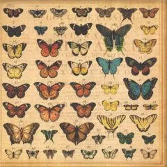 Scrapbooking Papier Buttferfly Specifios