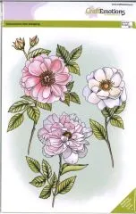 Clearstamps A5 - Rosen und Zweige