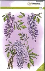 Clearstamps A5 - Glyzinien