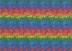 Motiv-Fotokarton 300g/qm 49,5x68cm Regenbogen-Schmetterlinge