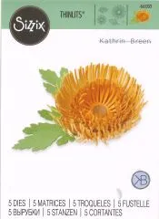 Sizzix Thinlits Die Set 5PK - Chrysanthemum