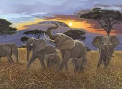 Malen nach Zahlen Junior - Elefanten