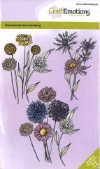 Clearstamps A6 - Trockenblumen