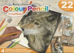 Colour Pencil by Numbers - Wildtiere