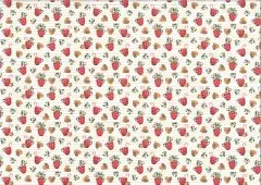 Motiv-Fotokarton 300g/qm 49,5x68cm Merry Chrismas Motiv 02