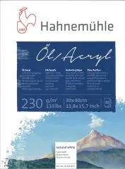 Hahnem�hle �l / Acryl 230g/qm 30cm x 40cm