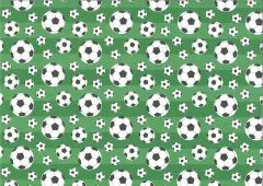 Motiv-Fotokarton 300g/qm 49,5x68cm Halbzeit - Motiv 2