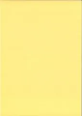 Struktura Pearl 220g/qm DIN A4 ananas