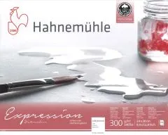 Hahnem�hle Aquarellblock Expression 24x30cm matt