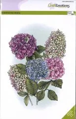 Craft Emotions Clear Stamps A5 - Hortensie
