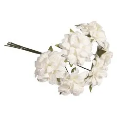 Papier Anemone wei�