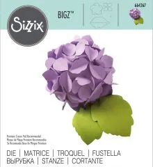 Bigz Stanze Hydrangea