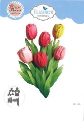 Spring Awakening Dies - Tulip