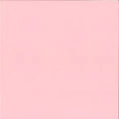 Strukturierter Karton rose