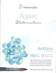 Hahnem�hle Miniblock Agave Watercolour