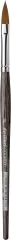 Colineo Pinsel Spitz - Oval Gr. 8